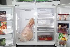 LG冰箱上的制冰机无法制冰