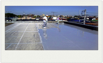 金属屋顶屋面防水补漏维修方案-补漏的公司电话_房屋补漏的最好方法-喷剂的效果如何