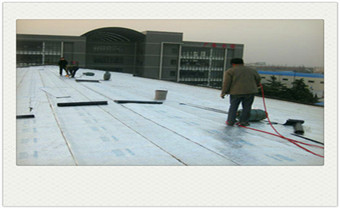 屋顶楼顶防水材料有哪几种-哪种好-屋顶防水处理方法_外墙补漏防水补漏多少钱-用什么材料-漆哪家好